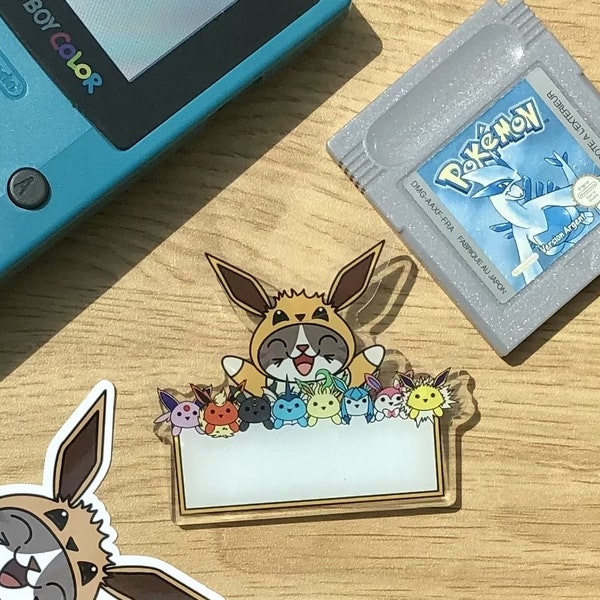 Badge Evoli, badge Pokémon, Pin’s Evolitions, Pin’s Pokémon, badge geek