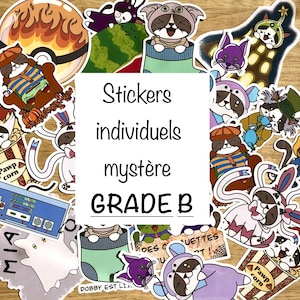 Assortiment mystère stickers Grade B, stickers oops, stickers surprise, stickers à imperfections, sachet mystère stickers, stickers grade B