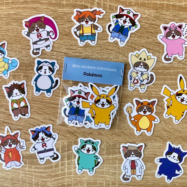 Mini stickers Pokémon, première génération Pokémon, Sacha, Ondine, Pierre, Champions arènes Pokémon, Professeur Chen, Team Rocket