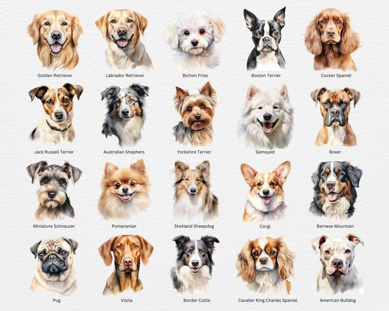 Dogs Cliparts Bundle 100 Dog Breeds PNG Cute Pet - Etsy