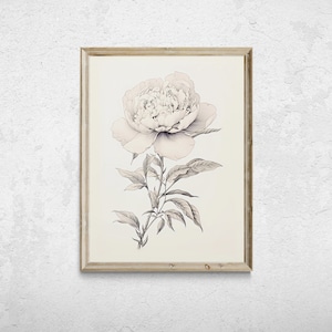 Vintage Peony Drawing, Botanical Sketch art, Farmhouse Kitchen Decor, Digital Download, Sketch Prints, Flower Wall Art, Floral Drawing Print