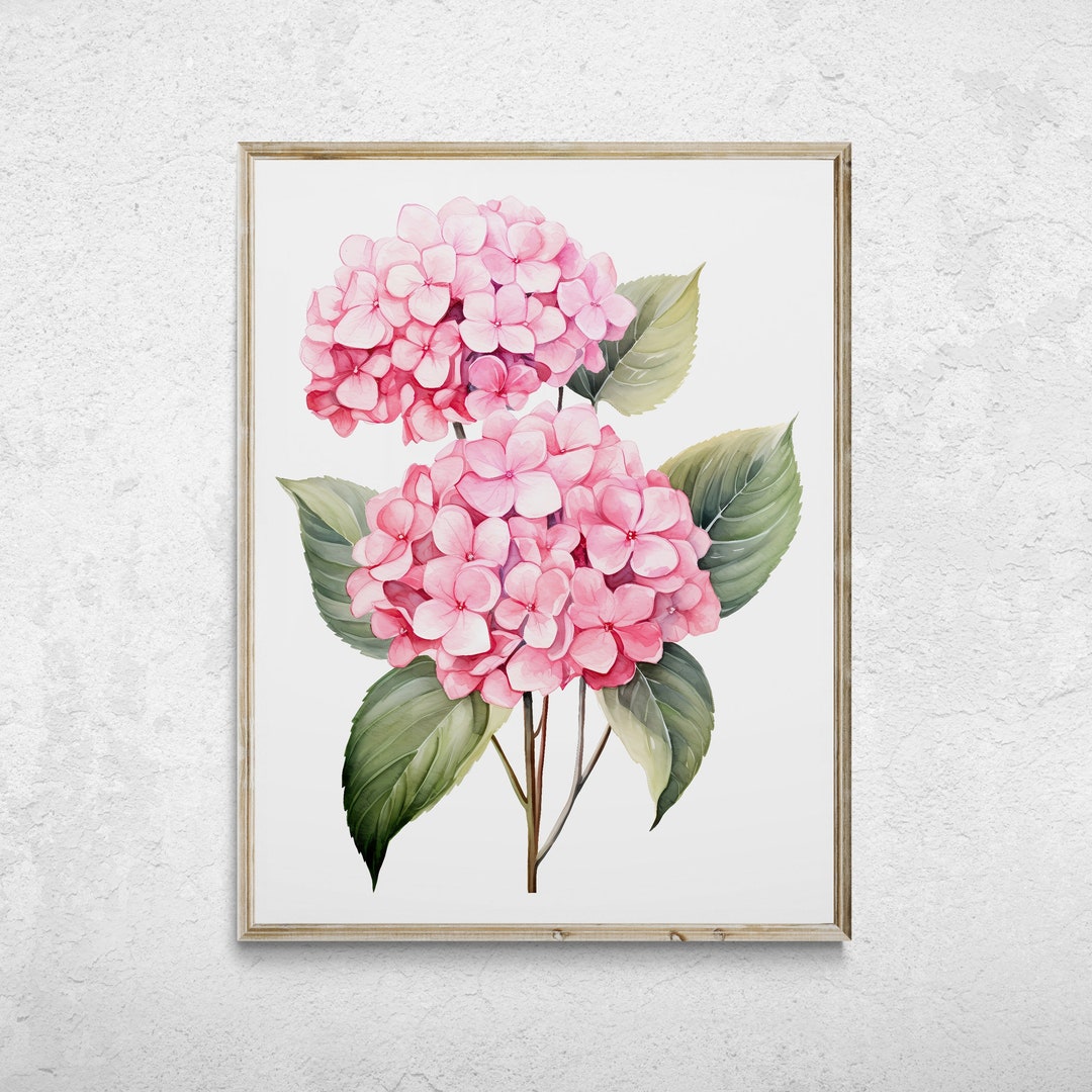 Pink Hydrangea Watercolor Print, Floral Wall Art (digital Download) - Etsy