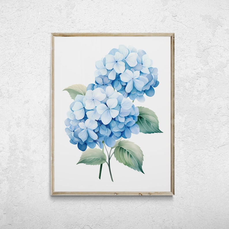 Blue Hydrangea Watercolor Print, Minimalist Floral Wall Art (digital ...
