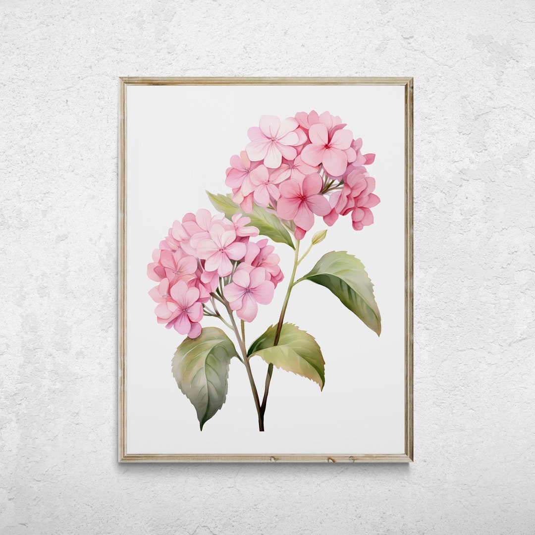 Pink Hydrangea Watercolor Print, Floral Wall Art (digital Download) - Etsy