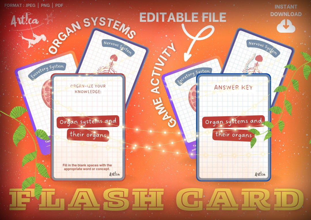 Human Body Organs Flash Cards: Homeschool Anatomy (digital Download) - Etsy