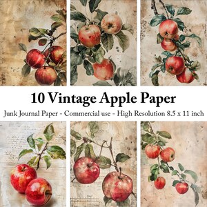 10 pagine di diario vintage Apple Junk - Scrapbooking digitale su carta, kit fai da te, kit per la creazione di biglietti, carta decorativa, download immediato