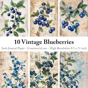 Rustiek Blueberry digitaal papier, vintage botanische junk Journal Kit, scrapbooking, junk journal supply, DIY Craft Kits kaarten maken, kortstondig