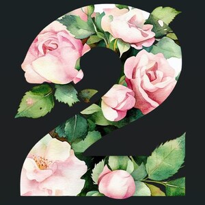 Watercolor Rose Numbers Clipart Set: Floral Digit Printables (PNG & JPG ...