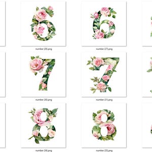 Watercolor Rose Numbers Clipart Set: Floral Digit Printables (PNG & JPG ...