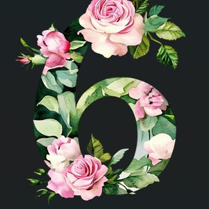 Watercolor Rose Numbers Clipart Set: Floral Digit Printables (PNG & JPG ...