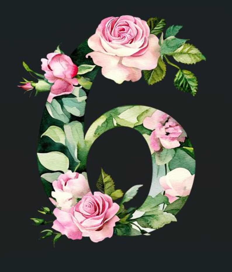 Watercolor Rose Numbers Clipart Set: Floral Digit Printables (PNG & JPG ...