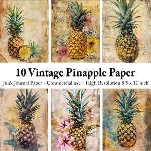 Könnte beinhalten: Eine Collage von Vintage-Ananas-Papierdesigns. Die Bilder zeigen detaillierte Illustrationen von Ananas mit grünen Blattoberteilen und strukturierten, gelb-orangen Körpern. Einige Designs enthalten florale Akzente und Hintergründe aus gealtertem Papier. Der Text lautet: "10 Vintage Pineapple Paper".