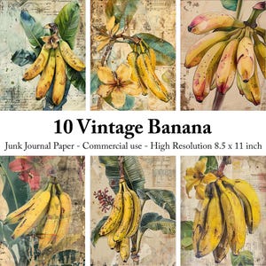 Rustikales Banana Junk Journal Papier, Antike Illustrationen von Tropischen Früchten, Digitales Papier Scrapbooking, Ephemera, Kartenherstellung, Dekorativ
