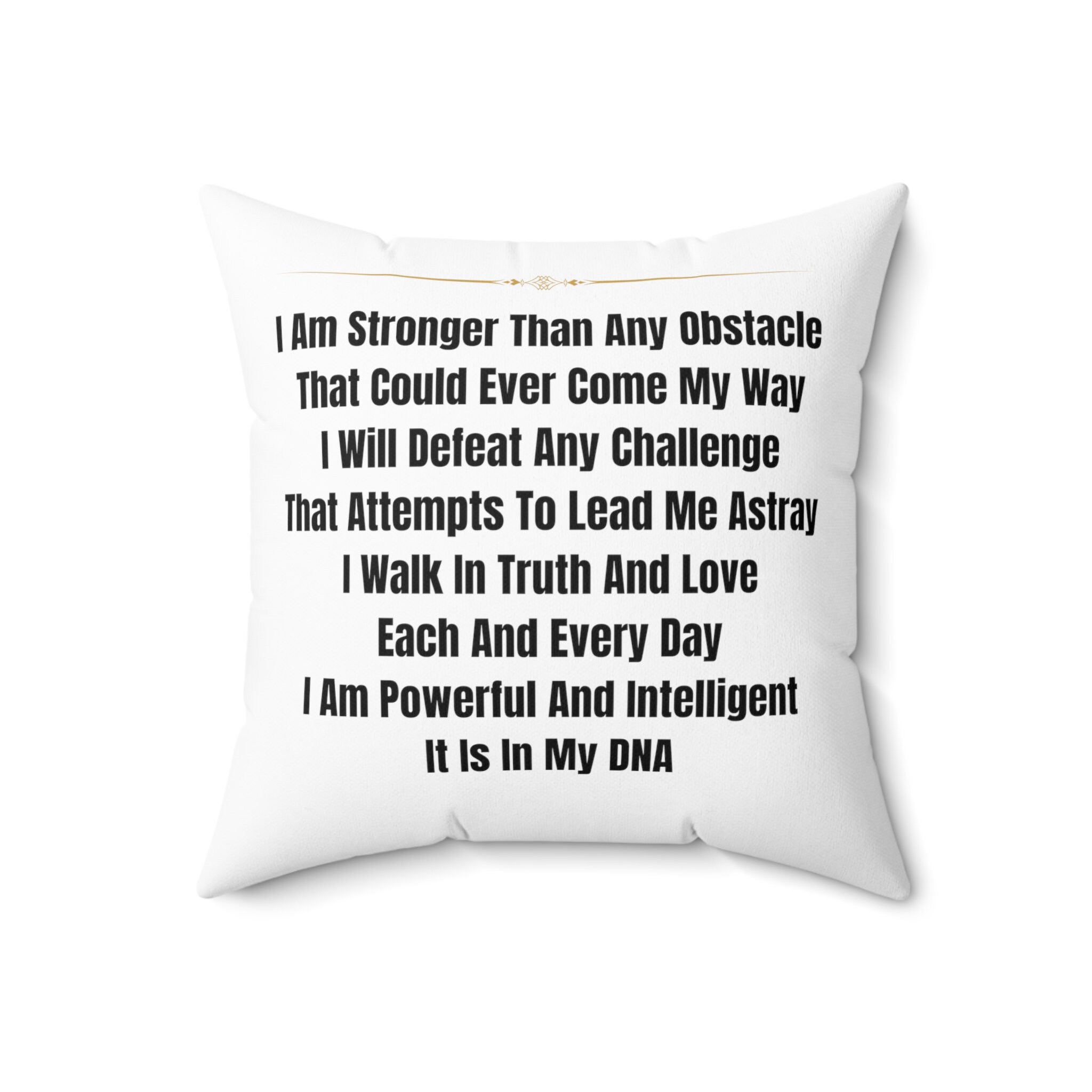Pillow Gift Home Decor Pillow for Couch Pillow for Bed Inspiring Pillow