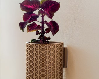 Wall Mounted Planter