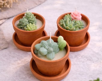 Vela de soja suculenta hecha a mano en maceta de terracota, regalo para amantes de las plantas