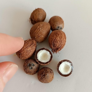 Miniatur realistische Kokosnuss / tropische Früchte / Schmuck Kokosnuss / für Puppenstube / Kokosnuss Ohrringe / realistische Frucht / Maßstab 1:6/ 1/12