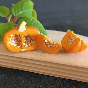 Könnte beinhalten: Drei orangefarbene Mini-Kürbisse, einer davon halbiert, mit weißen Samen, auf einem Holzbrett.