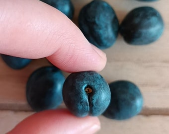 Prugna in miniatura, cibo realistico per casa delle bambole, gioielli in pasta polimerica