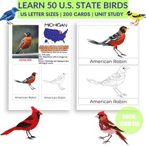 50 US State Birds Bird Flashcards for Preschool North American Birds Guide USA Geography Homeschool Learning USA Map Montessori Printables