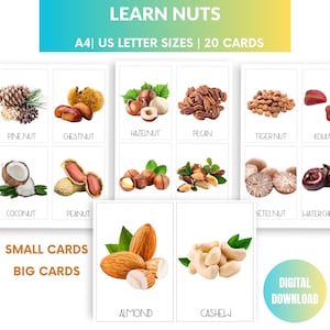 20 cartes mémoire, graines de noix, cartes imprimables Montessori, apprentissage de la nourriture, nutrition, ressource pédagogique pour les enfants, cours de sciences de l'alimentation