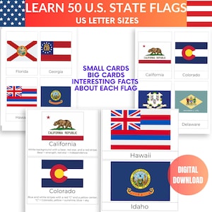 50 US State Flags Fifty State Flashcards 50 Cards Learning Guide State Flags USA Geography Homeschool Learning USA Map Montessori Resources