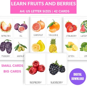 Fruits and Berries Flashcards Watercolor Montessori Cards Cute Flashcards Educational Printable Cards Biology Home learning Teacher Resource