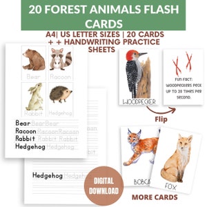 20 Forest Animals Flash cards for Kids, Montessori Flash Cards, Pre-school Cards, Homeschool Learning, Animals Handwriting Practice Sheets