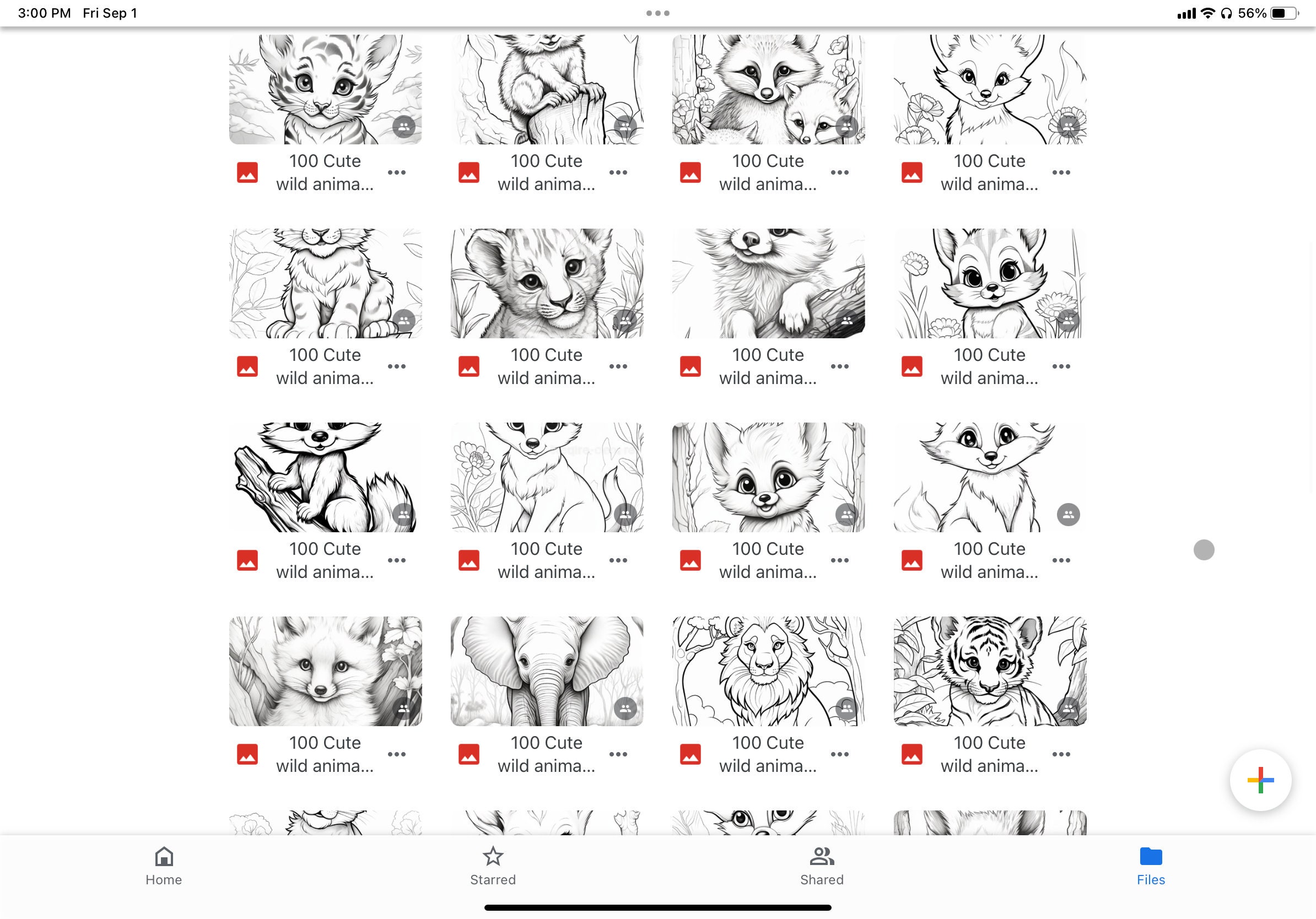 Whole Shop Coloring Book Bundle All Current Coloring Books in My Shop