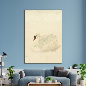 Knobbelzwaan 1962 Retro Canvas Print, Vintage Framed Canvas Art, Framed Vintage Print, Vintage Painting, White Swan Art