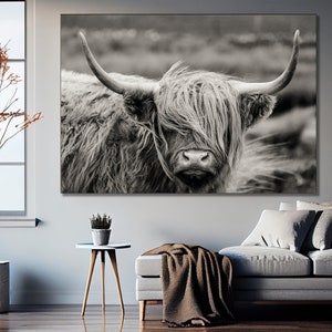 Scottish Highland Cattle Canvas Wall Art Cattle Canvas Cattle Wall Art Cattle Print Animal Wall Art Animal Canvas Print Animal Print