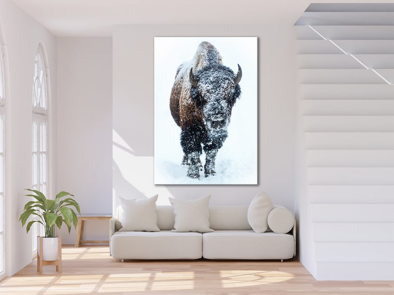 May include: A large brown and black bison stands in a snowy field, looking directly at the camera. The bison is covered in snow, and the background is a white snowy field.