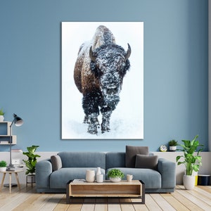 May include: A brown and black bison stands in a snowy field, looking directly at the camera. The bison is covered in snow, and the background is a white snowy field.