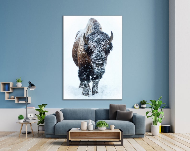 May include: A brown and black bison stands in a snowy field, looking directly at the camera. The bison is covered in snow, and the background is a white snowy field.