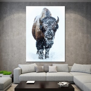 May include: A brown and black bison stands in a snowy field, looking directly at the camera. The bison is covered in snow, and the background is a white snowy field.