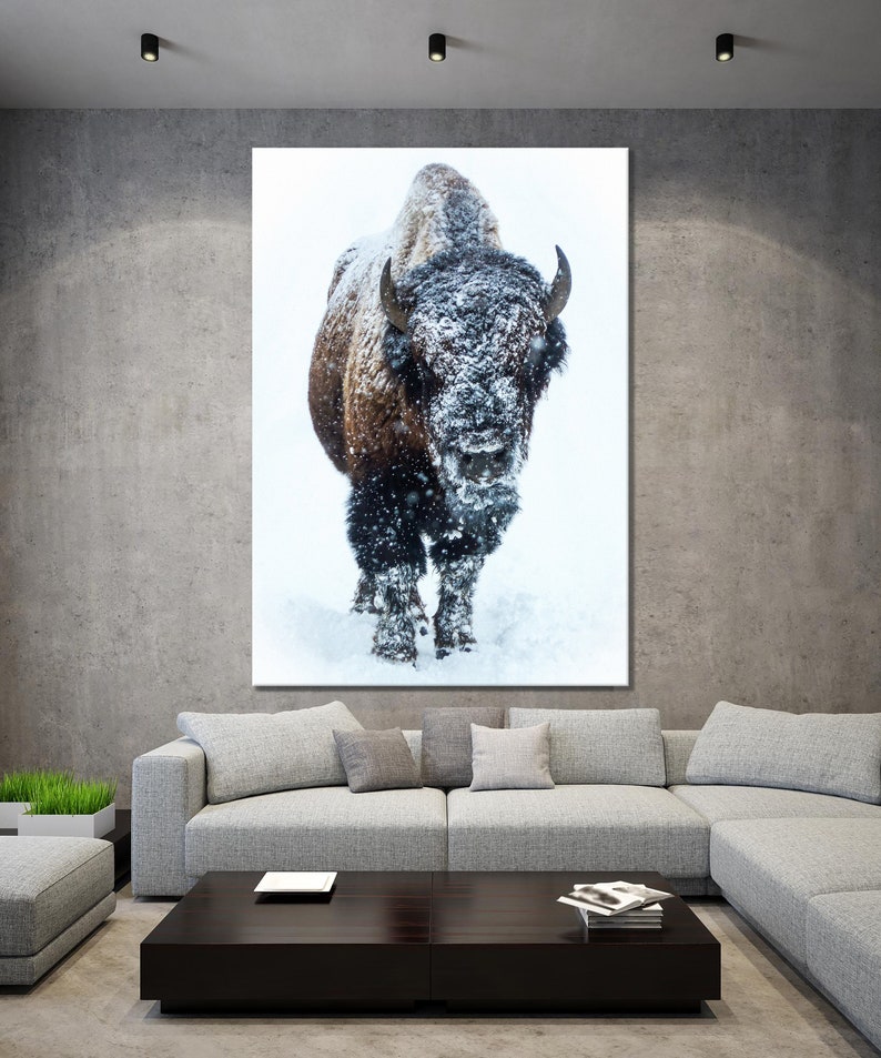 May include: A brown and black bison stands in a snowy field, looking directly at the camera. The bison is covered in snow, and the background is a white snowy field.