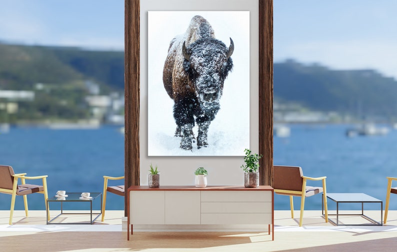 May include: A large brown and black bison stands in a snowy field, looking directly at the camera. The bison is covered in snow, and the background is a white snowy field.