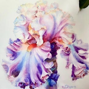 Grande acquerello originale di iris viola di Ola Lune: Royal Floral 72 x 72 cm