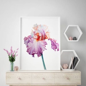 Watercolor Iris Flower Print: Large Floral Wall Art (Digital Download)
