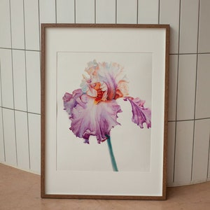 May include: A framed watercolor print of an iris flower. The flower has ruffled petals in shades of purple, pink, and orange, with a green stem. The artwork is set against a white background and framed in a brown wooden frame.