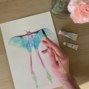 Blue Butterfly Watercolor Painting: Original Handmade Realism Art
