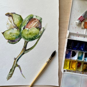 Original Walnut Watercolor Painting: Small Botanical Art (5.9x8.4 in)
