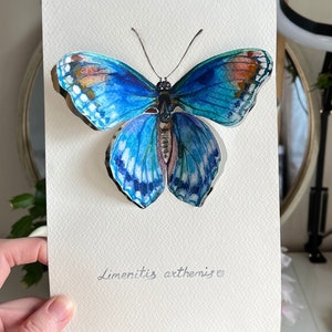 Small painting 3D butterfly, oraginal watercolor art, butterfly watercolor, blue butterfly painting image 8