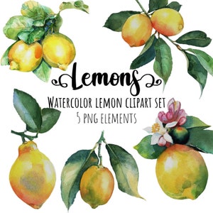 Watercolor Lemon Clipart, PNG, Instant download