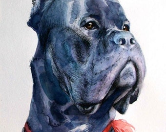 Custom pet portrait watercolor, cat portrait, watercolor pet portrait from photo, dog watercolor