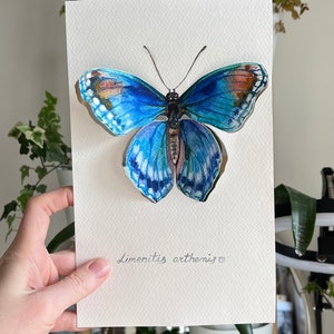 Small painting 3D butterfly, oraginal watercolor art, butterfly watercolor, blue butterfly painting image 2