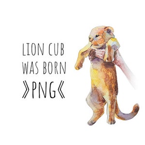 Akwarela Lew png, mały lew clipart, Natychmiastowe pobieranie, kartka urodzinowa dla dziecka mały lew