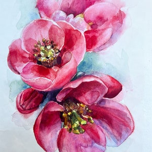 Flowering Quince Watercolor Painting: Botanical Blossom Art (6.9x9.8 in)