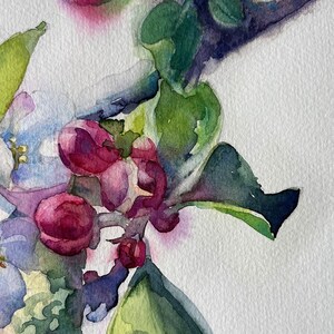 Blommande äppelträd i akvarell: Vårblomsterkonst 21 x 33 cm bild 5