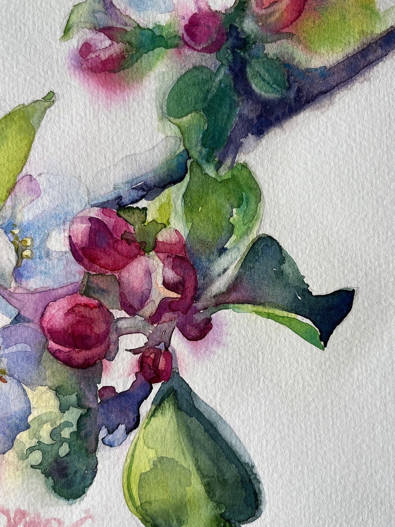 Blommande äppelträd i akvarell: Vårblomsterkonst 21 x 33 cm bild 5